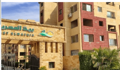 Egyptian group Developments