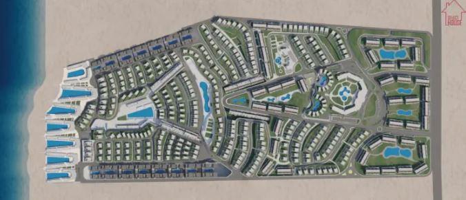 دايركشن وايت