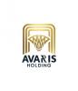 Avaris Holding 